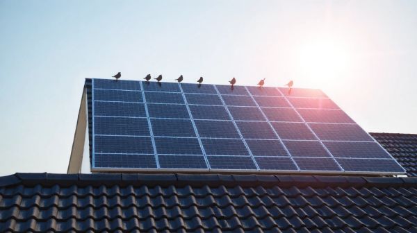 Boostez votre consommation énergétique avec des panneaux solaires
