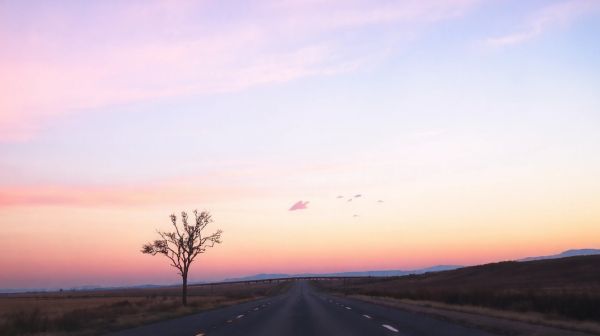 Indemnisation simplifiée grâce à la loi Badinter sur les accidents de la route